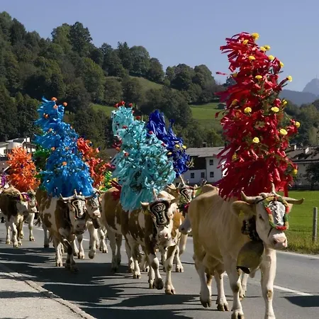 Hotel Mamooserhof Hopfgarten im Brixental