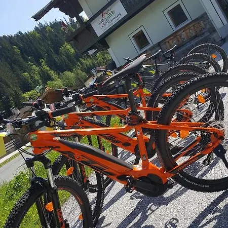 Hotel Mamooserhof Hopfgarten im Brixental